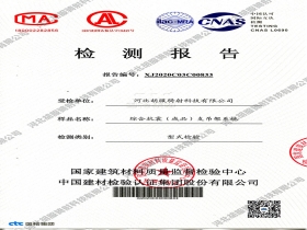 国检总部支架型检报告